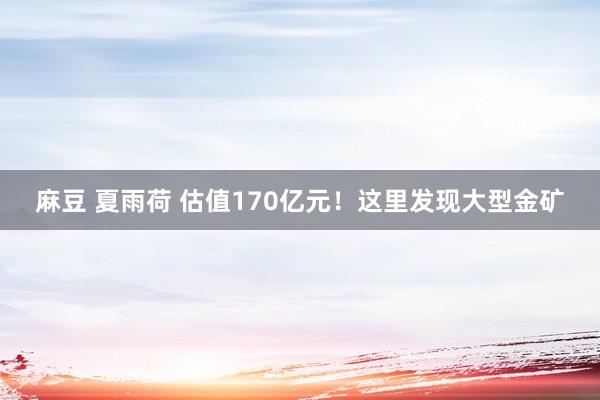 麻豆 夏雨荷 估值170亿元！这里发现大型金矿