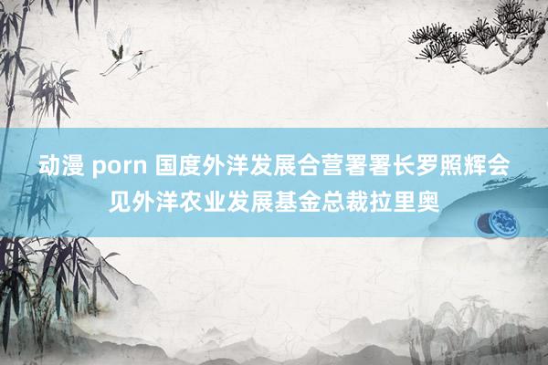 动漫 porn 国度外洋发展合营署署长罗照辉会见外洋农业发展基金总裁拉里奥
