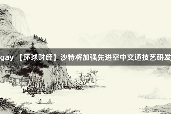 gay 【环球财经】沙特将加强先进空中交通技艺研发