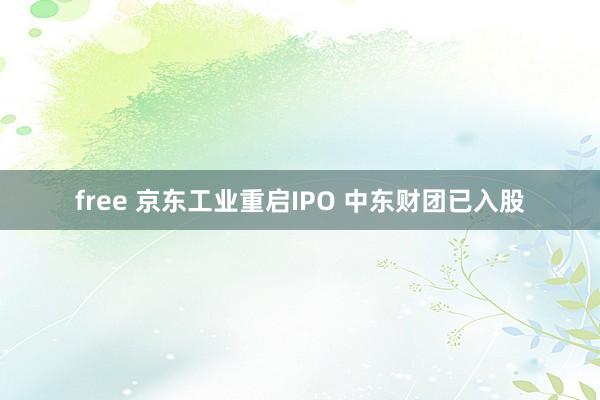 free 京东工业重启IPO 中东财团已入股