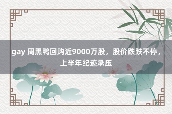 gay 周黑鸭回购近9000万股，股价跌跌不停，上半年纪迹承压
