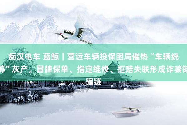 痴汉电车 蓝鲸｜营运车辆投保困局催热“车辆统筹”灰产，冒牌保单、指定维修、拒赔失联形成诈骗链