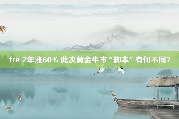 fre 2年涨60% 此次黄金牛市“脚本”有何不同？