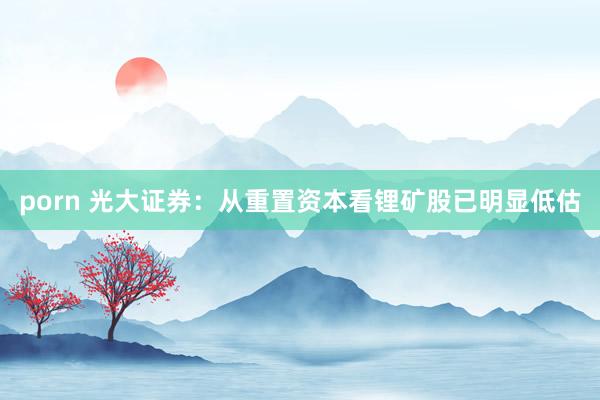 porn 光大证券：从重置资本看锂矿股已明显低估