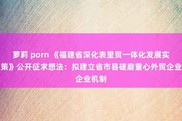 萝莉 porn 《福建省深化表里贸一体化发展实施决策》公开征求想法：拟建立省市县磋磨重心外贸企业机制