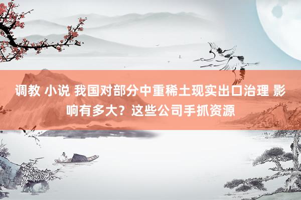 调教 小说 我国对部分中重稀土现实出口治理 影响有多大？这些公司手抓资源