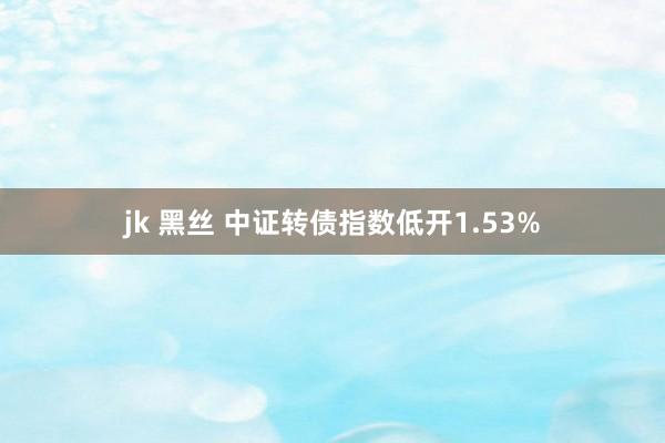 jk 黑丝 中证转债指数低开1.53%
